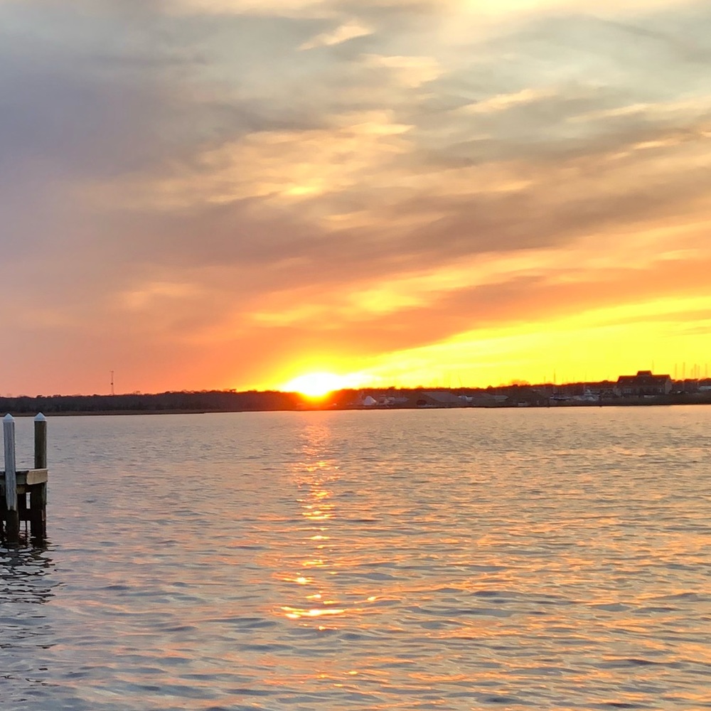 Meet your Posher, Izzy